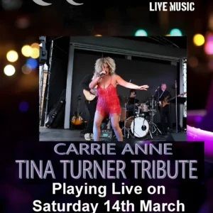 Tina Turner Tribute - Member
